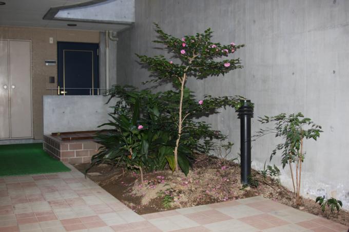 一階エントランスには庭が設置されています。高梁のマンション